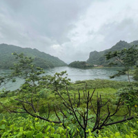 Cần Bán Mảnh Đất Bám Hồ Hòa Bình, Tay Chạm Nước Phiên Bản Giới Hạn