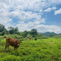 Bán Đất Giáp Sông Rất Đẹp Làm Nhà Vườn, Homestay Giá Chỉ 200K/M2 Liên Hệ: 0788.558.552