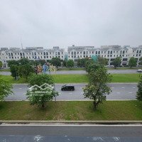 Chủ Nhà Cho Thuê Căn Shophouse Hướng Đông Nam Vinhomes Ocean Park 1 Có Thang Máy - Hơn 300M2