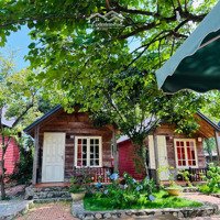 Cc Bán Homestay Hoạt Động Tốt, Doanh Thu 3 Tỷ/Năm, Trung Tâm Mộc Châu, Sơn La, Lô Góc 3 Mặt. 42 Tỷ.