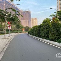 Cho Thuê Nhanh Căn 1Pn+ 1 Vệ Sinhfull Nội Thất Picity High Park Quận 12