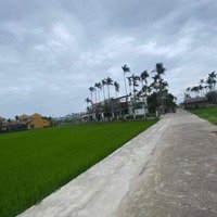 Cần Bán Đất View Lúa Cẩm Thanh, Hội An, Quảng Nam