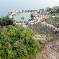 Bán Nhanh Lô Đất View Hồ Đối Diện Kdl Đồng Sến Farmstay - Dầu Tiếng, Bd