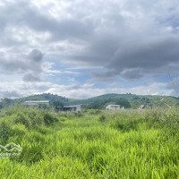 Đất Bán Đinh Công Tráng - Lộc Châu - Bảo Lộc Giá: 1Tỷ