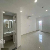 Cần Cho Thuê Ch Ofice Saigon Mia (35M2) Chỉ 8 Tr/Tháng