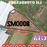 2000M2 Lạc Dương 1Ty5