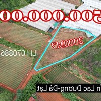 2000M2 Lạc Dương 1Ty5