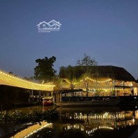 Cho Thuê Homestay Đang Hoạt Động