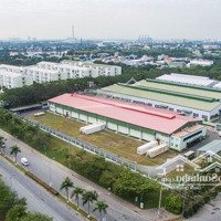 [3 Lô Đất Ngộp] Đầu Tư Đa Ngành, 15X50=750M2 Giá Bán 118 Triệu, Sát Chợ, Ql.13, Hãy Gọi Nhanh!