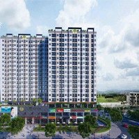 Bán Nhà Phố Thương Mại Shophouse 60M2 Tại Noxh A6 - A7 Đường Nguyễn Văn Trỗi, Quang Vinh