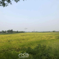 Đất Thị Trấn Phú Thịnh,Huyện Phú Ninh