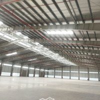 Cho Thuê Kho Xuong Mới 100% Có 20.000M2 Kcn Long Hậu