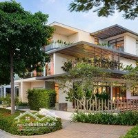 Bán Bt Khu Đô Thị Dương Nội Diện Tích: 238 M2 Đường Rộng, Kinh Doanh. Cần Tiền Bán Gấp Nên Giảm Giá