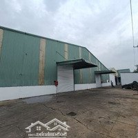 Cho Thuê Kho Xưởng 6000M2 Tp Mới Binh Dương