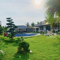 Trang Trại Nghỉ Dưỡng Villa Xây Mới 1685M2 Khu Sinh Thái Minh Trí-Sóc Sơn 1685M2 Siêu Đẹp Chỉ 7,Xtỷ