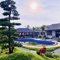 Trang Trại Nghỉ Dưỡng Villa Xây Mới 1685M2 Khu Sinh Thái Minh Trí-Sóc Sơn 1685M2 Siêu Đẹp Chỉ 7,Xtỷ