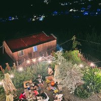 Chính Chủ Sang Nhượng Kinh Doanh Homestay Và Cà Phê View Đồi 700M2 Tại Đà Lạt Với Giá Chỉ 380 Tr/Th