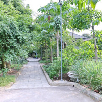 Bán Nhà Vườn 4.700M2, Long Phước, Quận 9