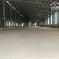 Cho thuê kho xưởng DT 8000m2 tại Gia Lộc Hải Dương