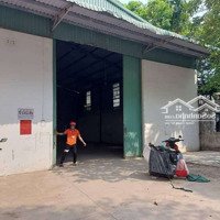 Cho Thuê Kho Xưởng Giá Rẻ Hiệp Thành Tdm