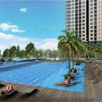 Cho Thuê Saigon South Residence 2 Phòng Ngủ 2 Vệ Sinhdiện Tích: 75M2; Full Nt, Nhà Đẹp,