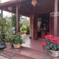 Bán Dinh Thự Sân Vườn Núi Thành - Xã Tam Xuân 1, Quảng Nam ( 1.460M2 )