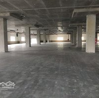 Cho Thuê Kho Xưởng 6000M2, 12000M2 Cụm Công Nghiệp, Tân Tiến, Huyện Văn Giang, Hưng Yên