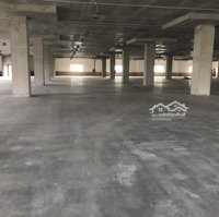 Cho Thuê Kho Xưởng 6000M2, 12000M2 Cụm Công Nghiệp, Tân Tiến, Huyện Văn Giang, Hưng Yên