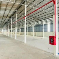 Cho Thuê Kho Xưởng Giá Rẻ Thuận An. 3300M2, 155 Triệu/Th. Pccc Vách Tường