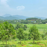 Bán Nhanh View Thung Lũng Núi Đồi Bao Quanh Yên Bình Và Đẹp Nhẹ Nhàng Giá Nhỉnh 3 Tỷ, Liên Hệ: 0974715503