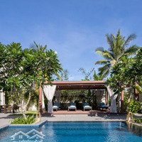 Chuyển Nhượng Resort Rừng Dừa Hội An Đang Kinh Doanh Tốt, Top Khách Sạn Yêu Thích Của Khách Hàn