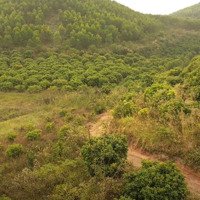 Cắt Lỗ Hơn 1 Tỷ Bán Mảnh Đất Nông Nghiệp 1.2Ha Tại Lục Ngạn, Bắc Giang