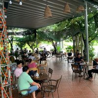 Cần Sang Nhượng Quán Cafe - Ngay Phước Lý - Cần Giuộc - Long An