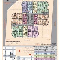 Cần Nhượng Lại 6 Suất Ngoại Giao, Chọn Căn/Tầng Đẹp Dự Án Qms Tower Tố Hữu