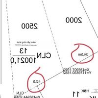 Bán Đất Láng Lớn, Châu Đức, Bà Rịa - Vũng Tàu Diện Tích 4500M2, Đất Sỏi Đỏ Trồng Sầu Riêng