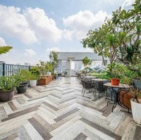 Hot: Căn Hộ Studio, Duplex Ban Công Gần Lotte Mart, Rmit, Tdtu