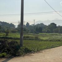 Gia đình cần bán đất ở khu tái định cư Đồng Láng, Văn Khê, xã Xuân Sơn, Thị xã Sơn tây, Hà Nội.