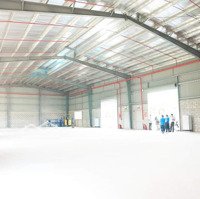 Cho Thuê Kho Xưởng 1000M2 Đến 5000M Kcn Tân Kim