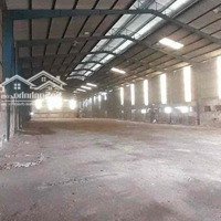 Cho Thuê Kho Xưởng 1/ Ql 1A Tân Thới Nhất Quận 12Diện Tích: 2500 M2 80 Triệu