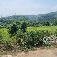 Cần Bán 510M2 Đất Thị Trấn, View Cao Thoáng, Ngắm Núi, Ngắm Ruộng, Bám Đường 25M Tại Tt Lương Sơn