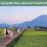 Đất Vườn Nghỉ Dưỡng View Đẹp Trung Tâm Khu Du Lịch Chư Đăng Ya-Biển Hồ Về Sân Bay Pleiku 15 Phút