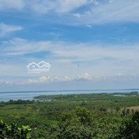 View Đồi Nhìn Ra Hồ Trị An, 22.392M2 Xã La Ngà, Định Quán, Đồng Nai. Giá Rẻ 420 Triệu/Sào