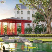 Ra Mắt Chung Cư Cao Cấp Vinhomes Đầu Tiên Tại Thanh Hoá - Vinhomes Royal Residence