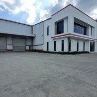 Cho Thuê Kho Mới 13.000M2 (Xd: 7.700M2) Kcn Thuận Đạo, Bến Lức. Có Pccc Tự Động, Trạm 1250Kva.