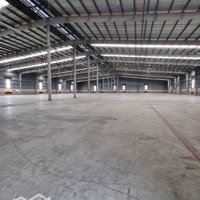 Cho Thuê Kho Mới 13.000M2 (Xd: 7.700M2) Kcn Thuận Đạo, Bến Lức. Có Pccc Tự Động, Trạm 1250Kva.