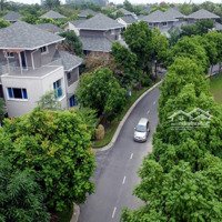 Bán Bt Vườn Mai Ecopark Căn Góc Đn 610M Giá Tốt View Công Viên Nhà Xây Thô