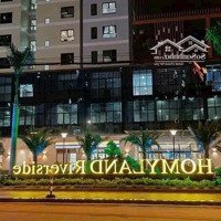 Chủ Đi Mỹ Cần Bán Gấp Căn Hộ Homyland Riverside 2 Phòng Ngủ 2 Vệ Sinhdiện Tích 80M2, Giá Bán 3,3 Tỷ