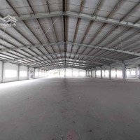 Cụm Kho 4Ha Gò Vấp ( Cho Thuê Lẻ Từ 500M2 )