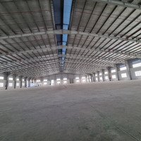 Bán Kho Xưởngdiện Tíchđất: 10.000M2,Xd: 6.000M2,Bình Điện 560Kva,Pccc Tự Động,Ccn Lợi Bình Nhơn, Long An