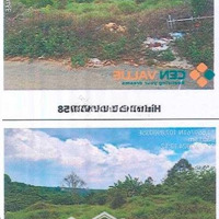 Bán Đất Tại Thửa Đất Số: 558, Xã Lộc An, Huyện Bảo Lâm, Tỉnh Lâm Đồng